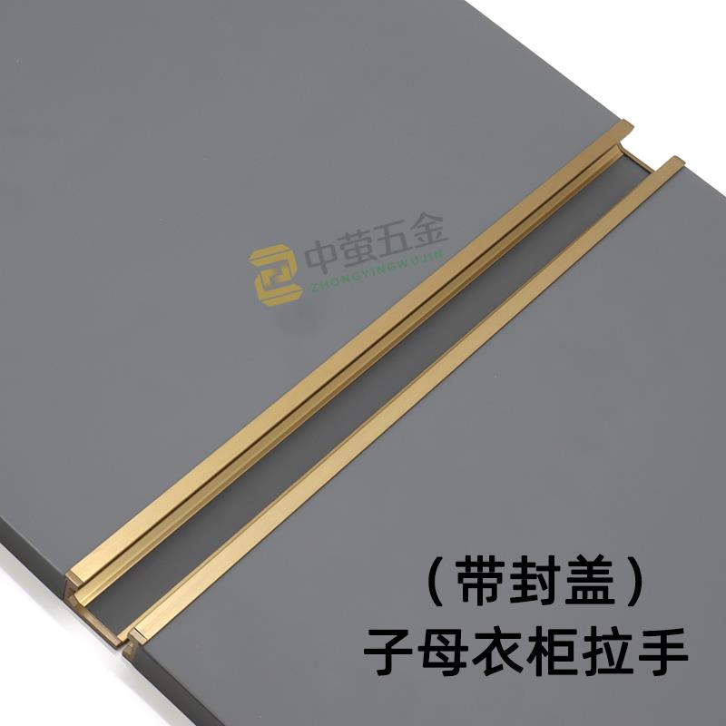 新款18板带封盖堵头子母拉手L型嵌入插封边带衣柜门隐形通顶把手