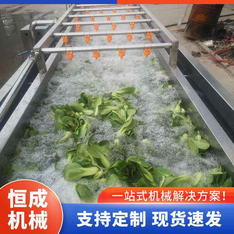 果蔬高压喷淋清洗机全自动多功能蔬菜水果气泡清洗设备恒成机械