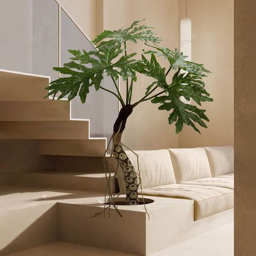 彷真绿植龙鳞春羽龟背植物室内客厅角落氛围感假树落地盆栽大摆件