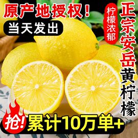 四川安岳黄柠檬(黄柠檬)9斤新鲜水果，奶茶店专用皮薄大果非香水柠檬无10籽