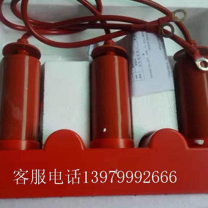 TE-ZGB-3.8/R三相组合式过电压保护器10KV组合式避雷器厂家直销