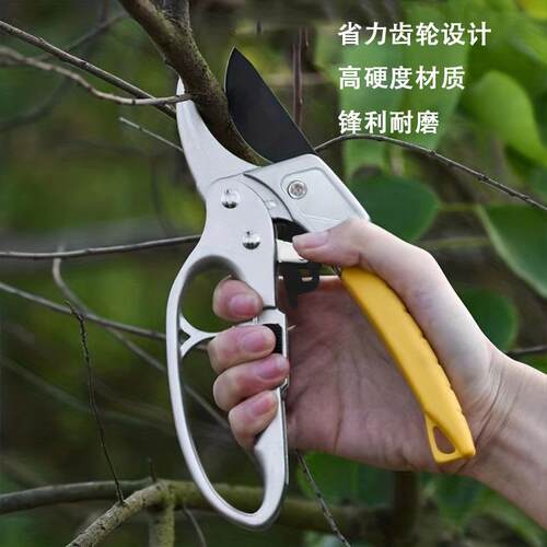 树枝修枝剪园修花专用修枝剪果树艺枝剪粗PKQ护手省力园林刀果枝
