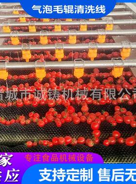 商用果蔬气泡毛辊清洗线304不锈钢支持定制商用柚子清洗加工设备