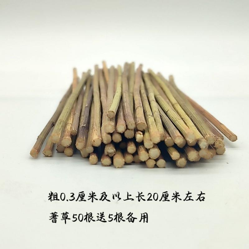 易经文化用品真品文王蓍草支送支筹策算筹算工具术数