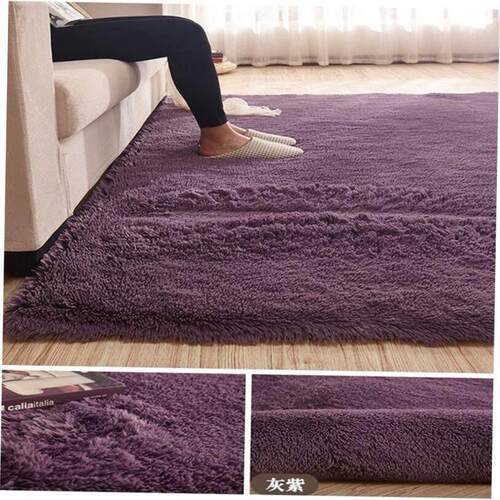 Living Room Carpet bedroom Soft Rug Carpets floor mats 地毯