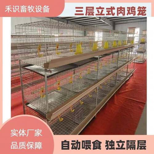 厂家销售三层立式肉鸡笼养殖养鸡设备肉鸡笼防锈肉鸡笼热镀锌鸡笼