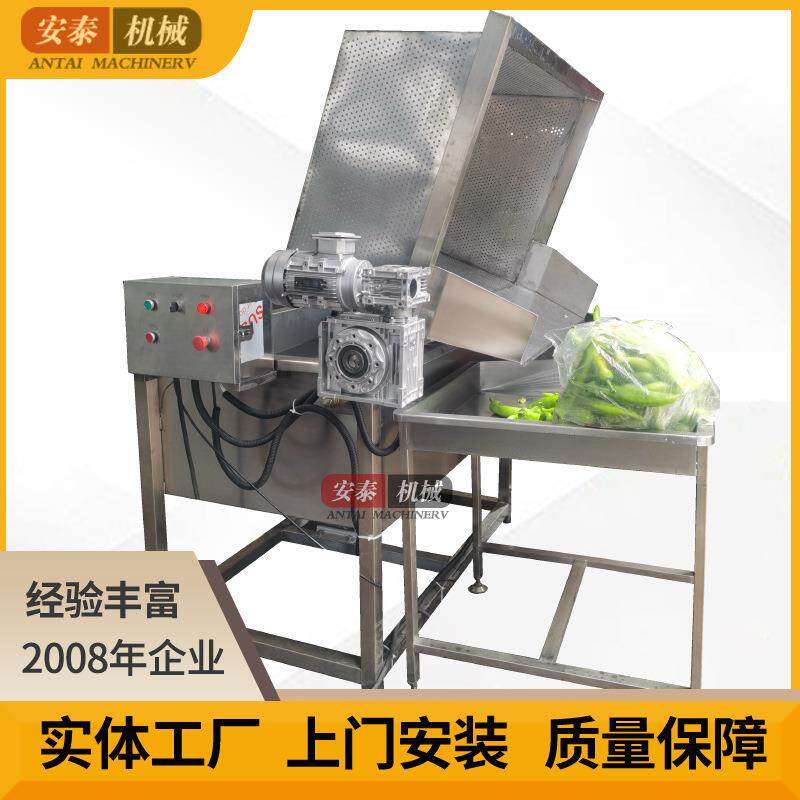 小型气泡清洗机辣椒香菇清洗机青菜自动清洗设备按钮控制自动出料