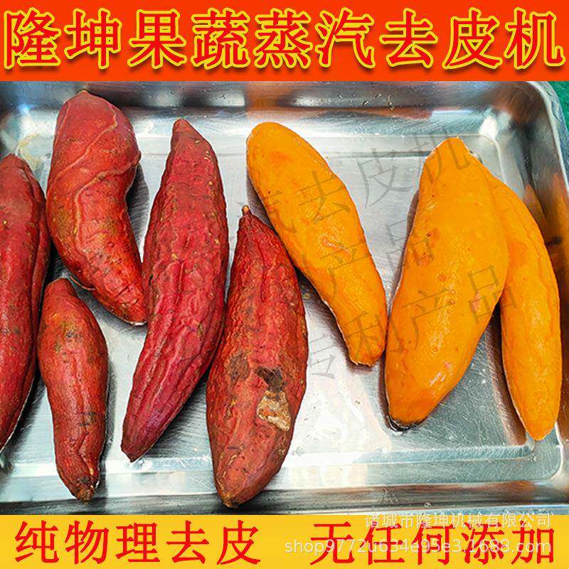全自动红薯削皮机多功能土豆西红柿脱皮机不锈钢果蔬加工去皮机