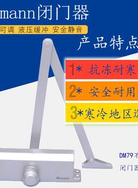Demann重型闭门器/DM79闭门器不定位大号B06闭门器抗冻耐寒闭门器