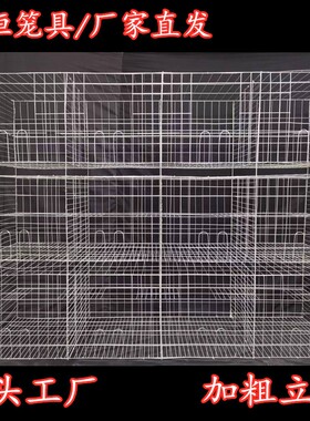 鸽笼子笼工厂生产养殖场用鸽子HIR专子养殖笼量大优惠