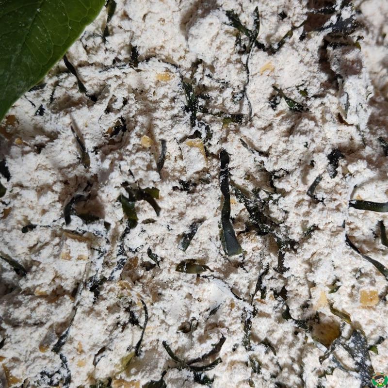 逍遥镇胡辣汤散装牛肉海带味商用袋装早餐店食堂专用正宗