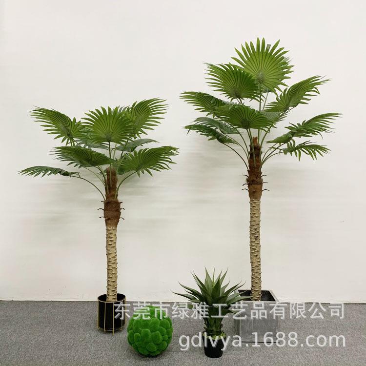 跨境新款仿真扇葵棕扇葵圆叶蒲葵棕榈树室内大型绿植盆栽假植物