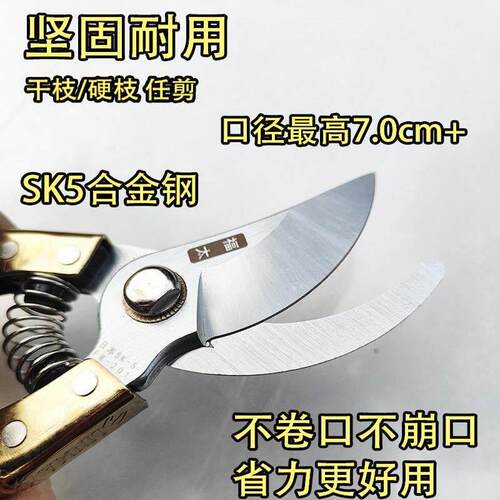 金福园艺剪刀园艺工具粗枝剪园艺剪子树枝剪刀修枝剪省力SK5果剪