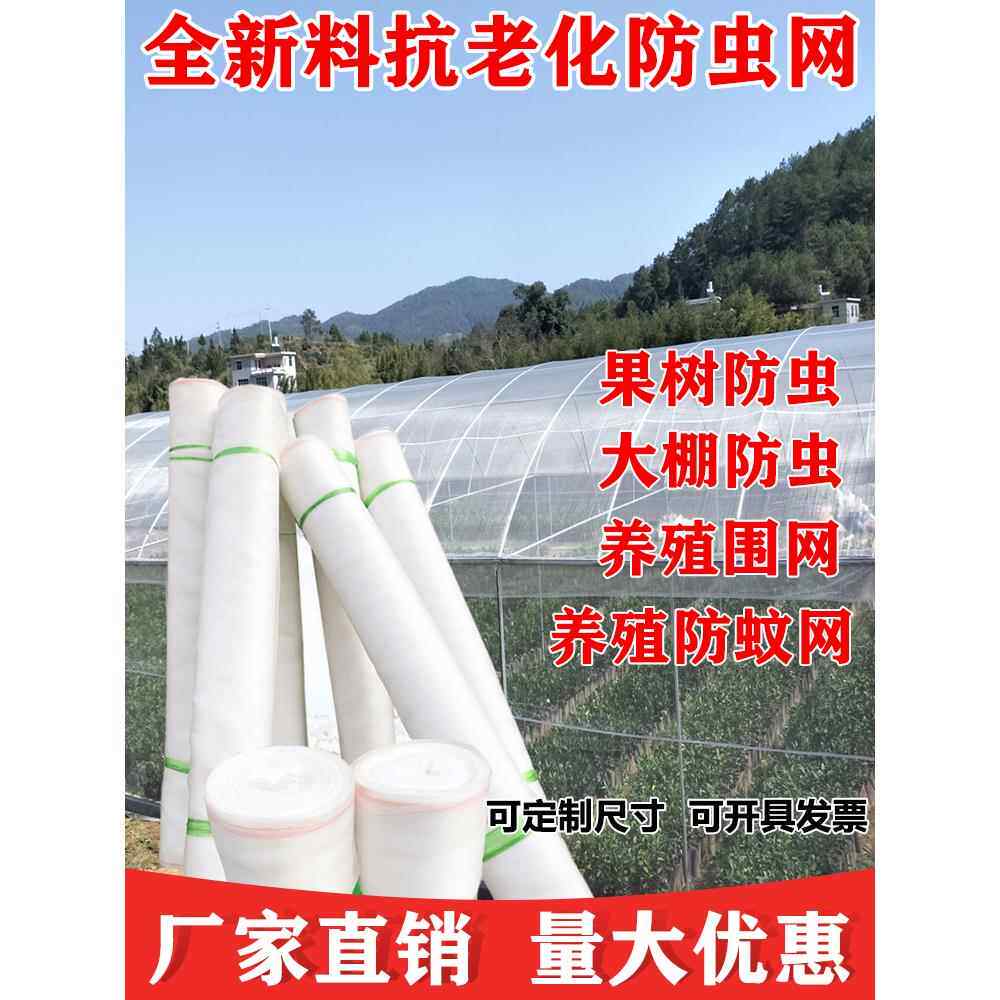 温室专用蔬菜加厚60目农用尼龙防虫网农场防蚊网果树防鸟网套