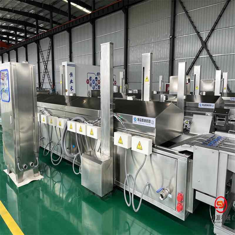 新款鱿鱼须油炸机 电加热牛蛙块油炸设备 全自动鱿鱼条油炸机