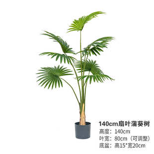 仿真造景棕树假绿植室内大型摆件唐盆栽客厅葵扇植物蒲葵装饰葵