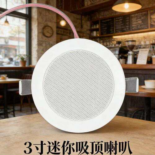 天籁吸顶定阻嵌入式天花吊顶音箱商场超市公共广播喇叭现货009