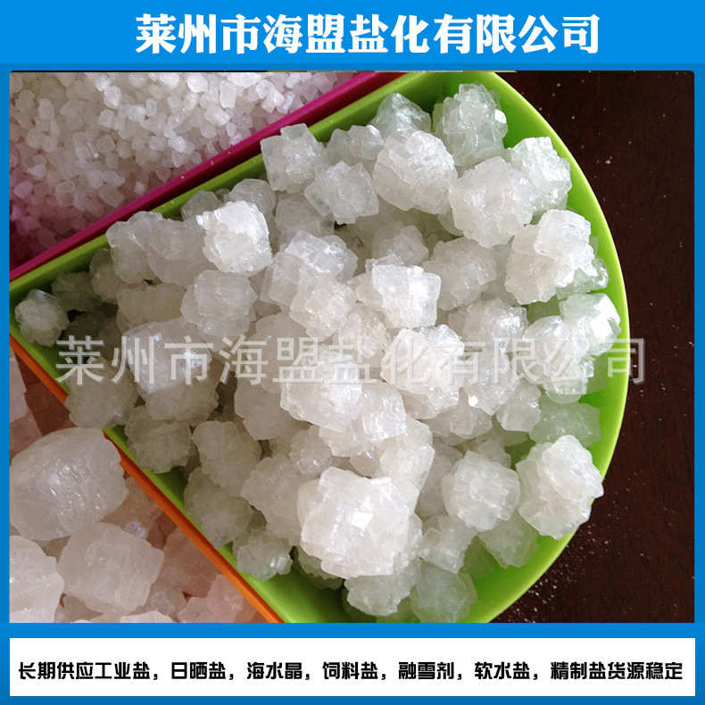 质优观赏鱼 软用盐大软水盐厂家处理量10kg海盐水机现货净水用盐