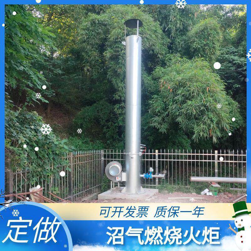 应对环保检查简易沼气火炬燃烧器养殖场污水厂不锈钢内燃外燃火炬