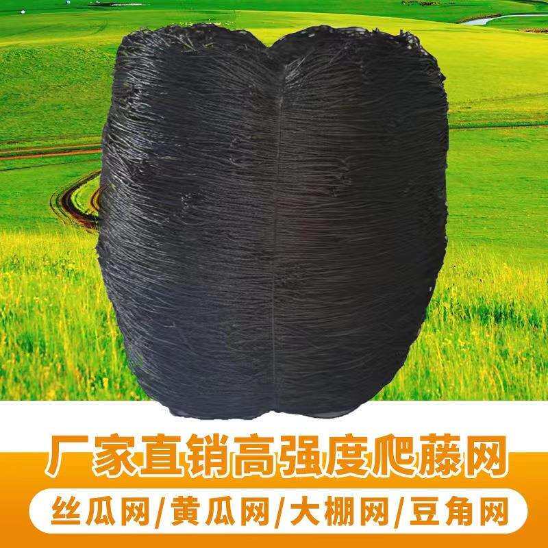 植物爬藤网绿色园艺格子网黄瓜吊瓜攀爬网支架网菊花抗风抗倒伏网