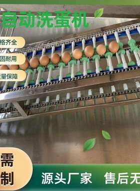单排鸡蛋清洗机蛋类加工清洗流水线设备洗蛋机鸭蛋清洗加工生产线
