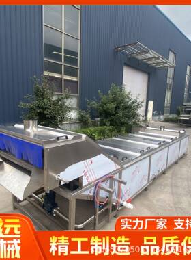 安邦新款黄桃清洗机地皮菜漂烫机速冻虾尾加工设备