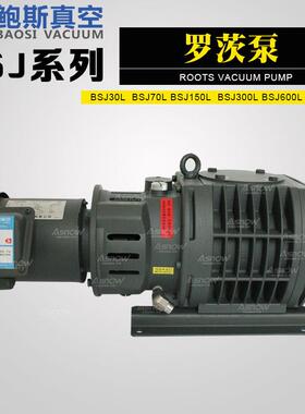 鲍斯罗茨增压真空泵BSJ70L互换爱发科罗茨泵PMB300D用于检漏设备