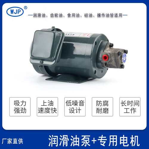 380V200W齿轮泵电机T ROP1213A摆线泵机床润滑泵螺丝机润滑泵220V