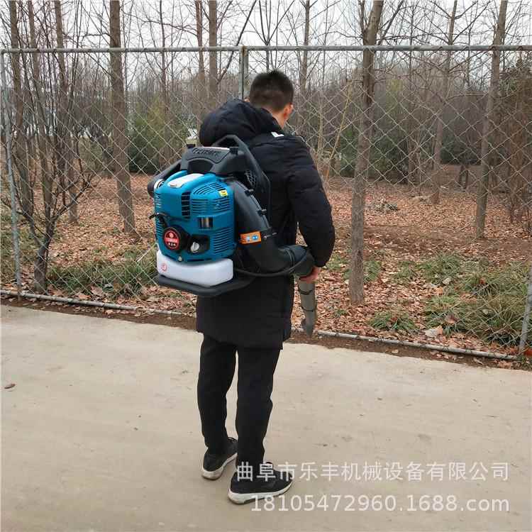 江苏路面大功率汽油吹雪机 背负式果园吹落叶机 四冲程大棚吹雪机