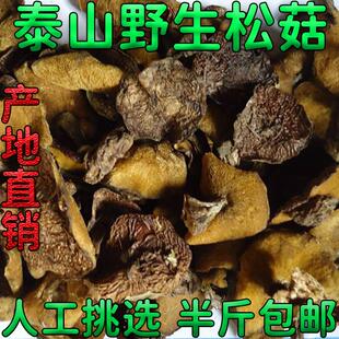 新疆包邮泰山特产野生松蘑龙庭山莪子松菇粘蛾子松蛾菌菇干货炖鸡