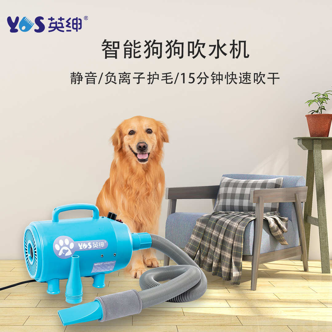 英绅宠物吹水机2400W大功率静音狗狗猫咪快速吹毛烘干美容店家用