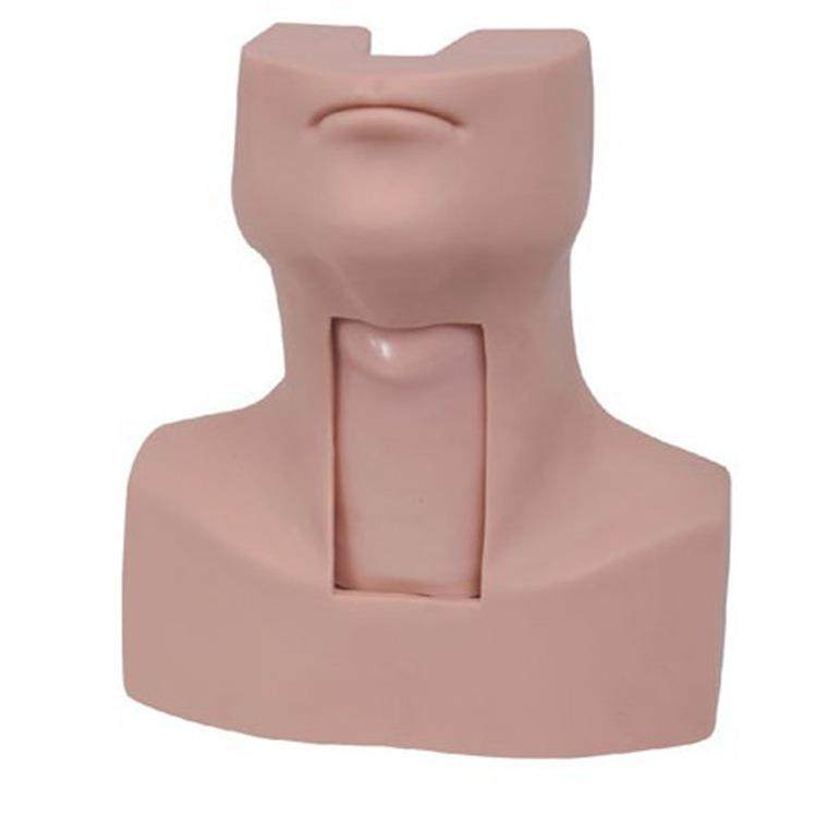 高级环甲膜穿刺及气管切开插管训练模型