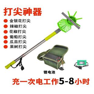 新款打尖机农业辣椒葡萄打头器香瓜豆角电动打尖器