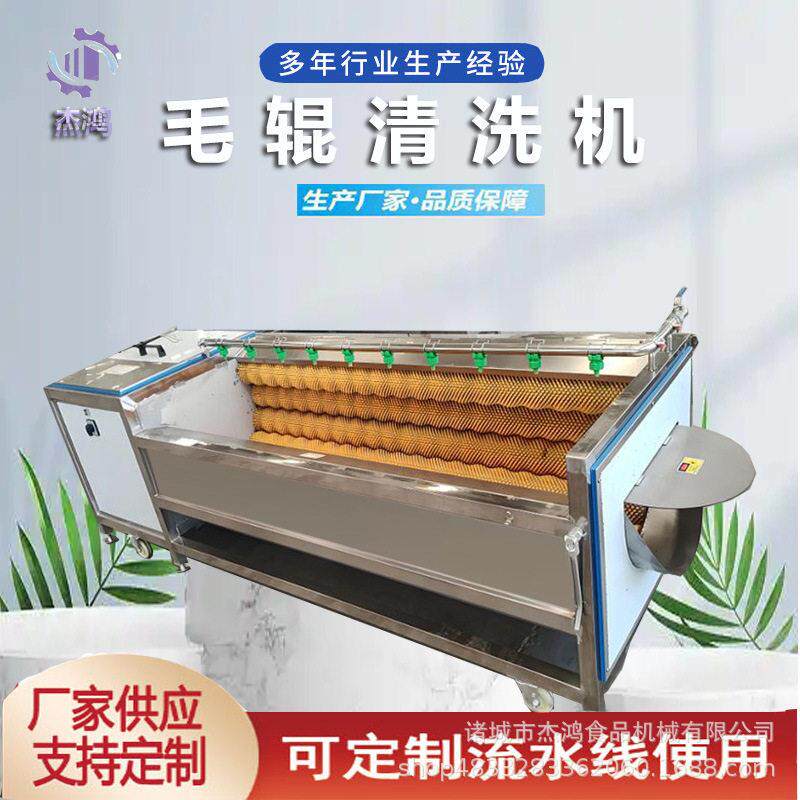 全自动U型水果毛辊清洗机果蔬滚动毛刷生姜去皮泥机器