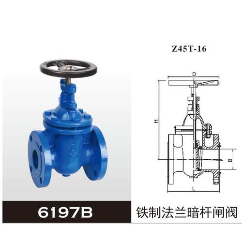 埃美柯 6197B Z45T-16 铁制法兰暗杆闸阀