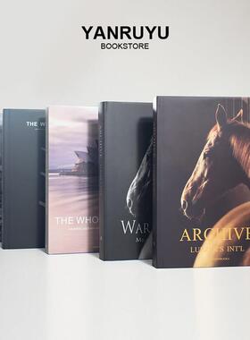 现代简约轻奢骏马黑白灰样板间书房装饰书可翻页彷真书样品屋展示