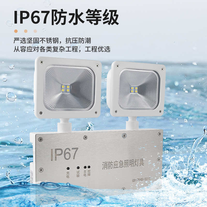 IP67防水双头灯消防应急照明灯隧道管廊冷库安全出口灯防水双头灯