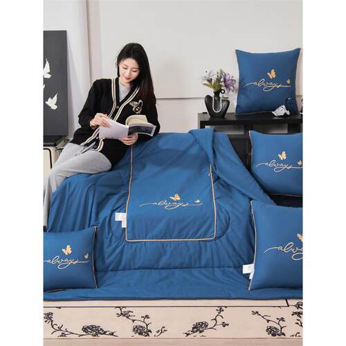 a类母婴级棉质枕被二合一，0.05公斤，放大2m × 2.2m简易午休汽