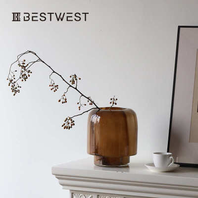 Bestwest中古高品质玻璃花瓶 茶棕色轻奢桌面水养插花装饰花器批