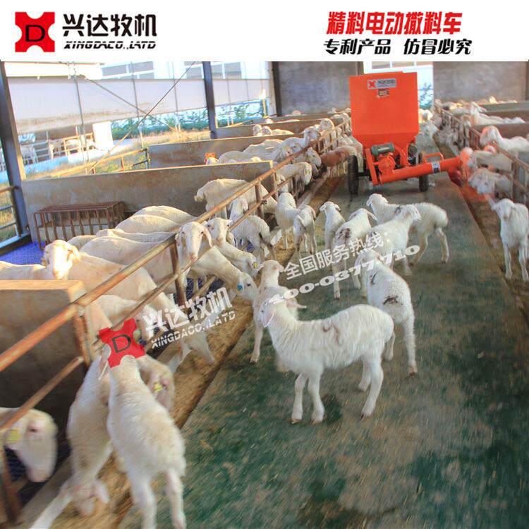 养驴精料撒料车养驴喂料车驴马料养驴电动喂料车