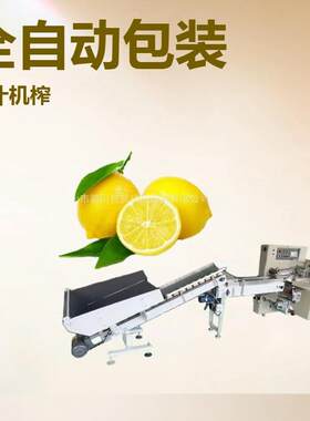 适用水果脐橙赣州脐橙广西沃柑广东香水柠檬枕式装袋机金桔套袋机