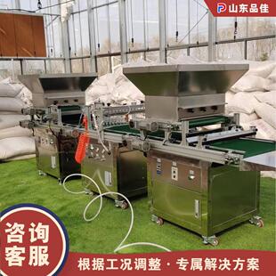 全自动流水线种子播种机 漂盘覆土压穴一体机 花卉蔬菜秧苗育苗机