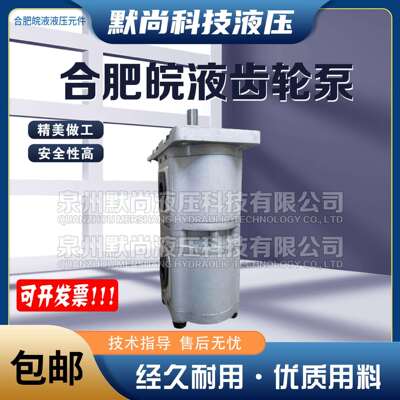 合肥皖液齿轮泵CBQL-E563/F550 E550/F540 F540/F532-A 双联油泵