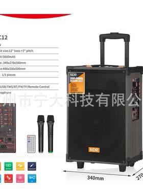 NDR-C12宁大新款木箱现货户外拉杆音响双咪广场舞音响12寸重低音