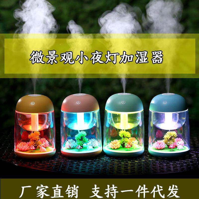 跨境创意diy微景观加湿器小型家用母婴usb迷你自定义萌宠工厂