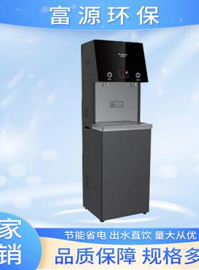 商务公室直饮机RO过滤一开一直饮商用立式纯水机开水器