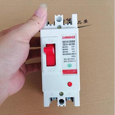 断路器开关DZ15-40A 100A 2901二相空气保护开关质保两年厂家直销