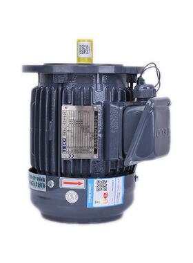 厂价供应TEC东元电机 AEVE-0.4kw 立卧式三相马达