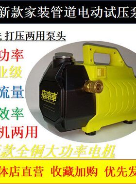 新款手提电动打压泵高配型暖气地暖PPR管道小型打压泵试压泵洗车