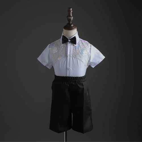 高档豌豆裙芭季六一儿童蕾舞幼演出服蓬蓬纱裙儿园舞蹈表演服公主